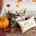 thumbnail image 3 of Fall Pillow Covers 18x18 inch Set of 2 Retro Pumpkin Maple Leaf Decorative Throw Pillow Covers Autumn Thanksgiving Farmhouse Decoration for Home Couch, 3 of 6