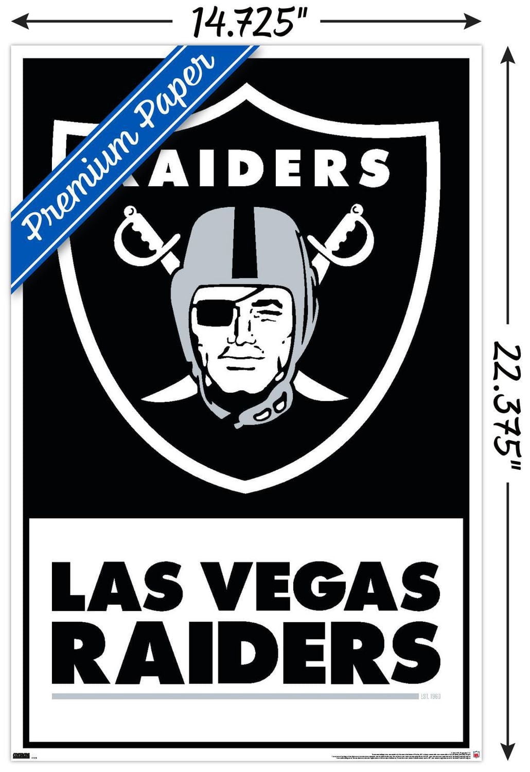 NFL Las Vegas Raiders