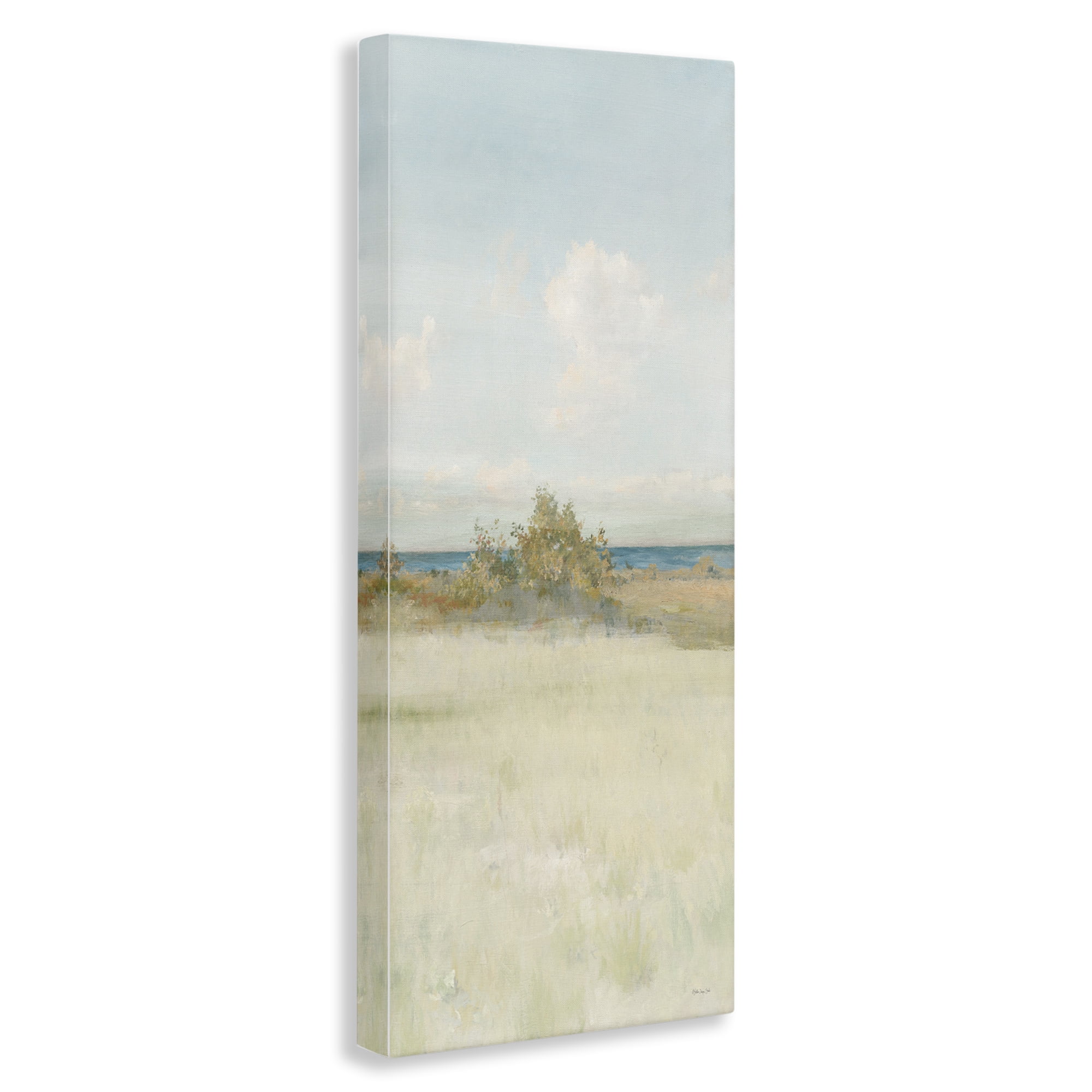 Stupell Industries Vegetation on Beach Landscape Painting Gallery Wrapped Canvas Art Print Wall Art, 10 x 24