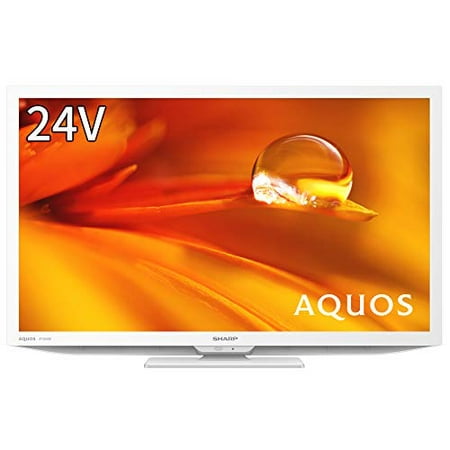 Sharp 24V LCD TV AQUOS 2T-C24DE-W High Definition External HDD Back Program Recording Support 2021 Model White// Usb