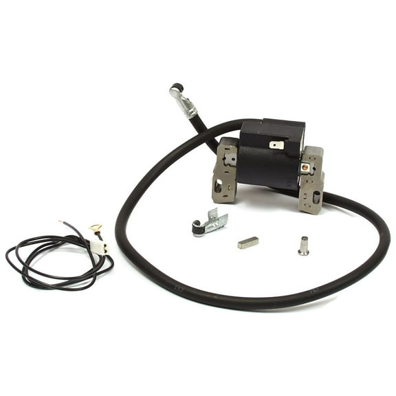 Briggs and Stratton Ignition Coil