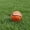 1PC, variant on Luckky PU Leather Sandbag Balls,Cute Throwing Ball with Foam and Ceramic Filling,Quiet Indoor SportsToy for Coordination Training(1PC)