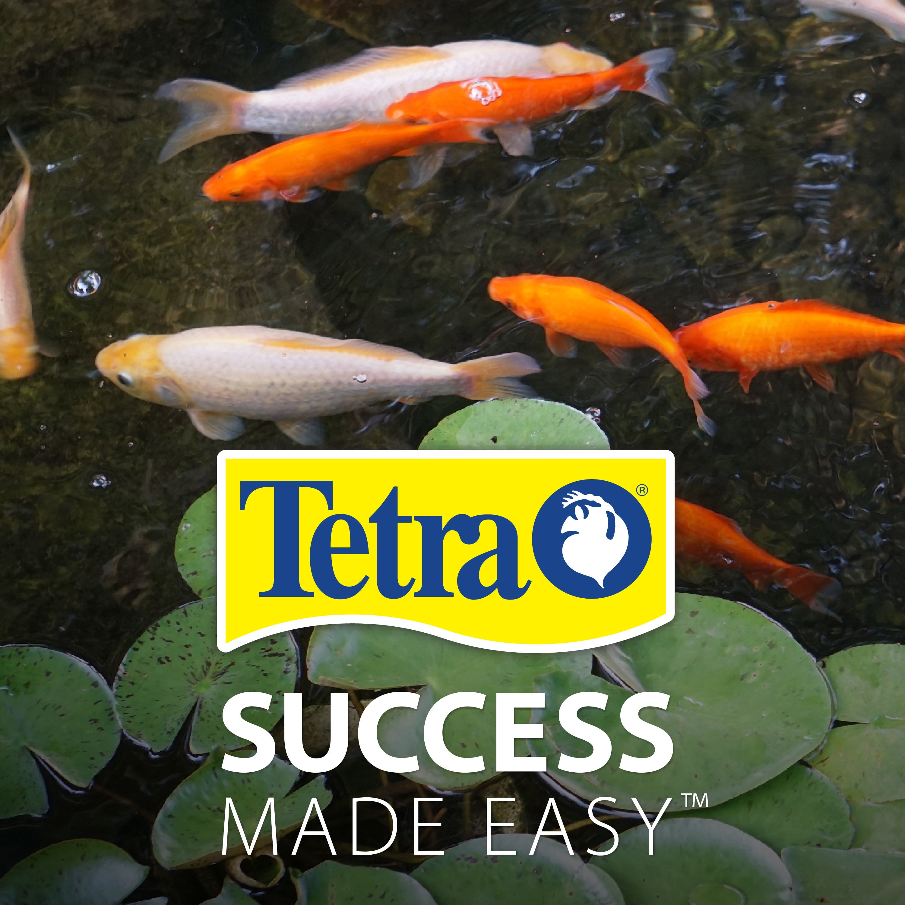 Tetra TetraPond Sticks Pond Fish Food for Goldfish and Koi, 11 lb