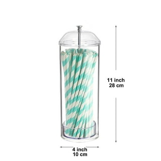 Mornenjoy Stainless Steel Straw Dispenser, Countertop Straw Holder  Organizer Disposable Beverages Drinking Straw Dispensers Container Cafe Bar  Party