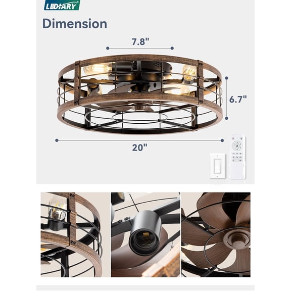 20" Caged Ceiling Fan with Light and Remote
