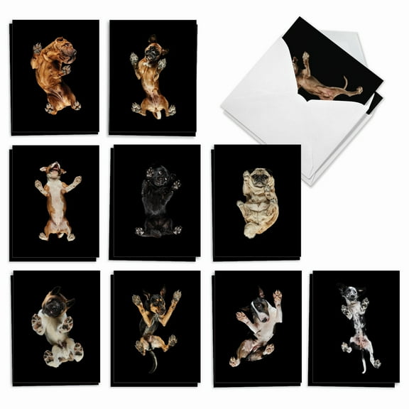20 All Occasion Blank Cards Assorted (10 Designs, 2 Each) - Big Under Dogs All Occasion (4" x 5.12") AM7187OCB-B2x10