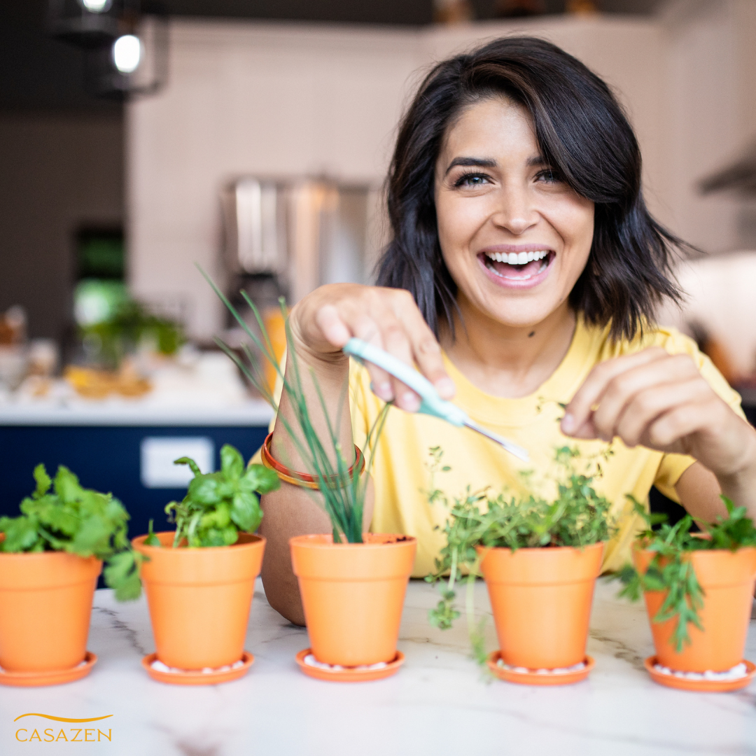 Indoor Herb Garden Kit | Organic Non GMO Seed Cilantro, Chives, Parsley, Basil and Thyme  | Great Learning and Self Care Gift - Mini