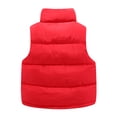 thumbnail image 2 of LittleSpring Boys Girls Puffer Vest Sleeveless Jacket for Kids Winter Outerwear, Pink 3T, 2 of 8