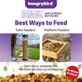 thumbnail image 5 of Hungrybird Energy Complete Diet, 7lb - All-Season Blended Berry Suet & Mixed Nut Blend for Wild Birds, 5 of 6