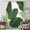 White, Green, Lime, variant on Summer Leaves Sheer Curtains 45" Long for Bedroom, Farmhouse Botanical Green Tropical Plants Light Filtering Privacy Drapes, Breathable Semi Sheer Short Window Treatment for Kitchen Cafe Bathroom