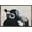 Bronze Framed Version, variant on Chimp with Headphones on Wall Wall Poster with Push Pins, 14.725" x 22.375"