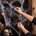 thumbnail image 3 of Halloween Spider Decorations 10 Pack, Halloween Realistic Small Fake Spider Props, Halloween Scary Party Supplies for Indoor Outdoor Haunted House Setup, 3 of 7