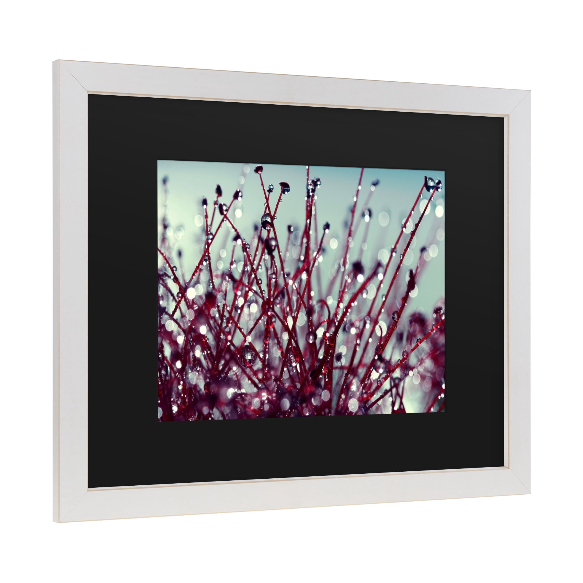 Trademark Fine Art 'Morning Tunes' Canvas Art by Beata Czyzowska Young