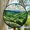 Irish Hills, variant on Outback Kangaroo: Stained Glass-Style Christmas Ornament - Made With Real Glass, Stained Glass Ornament 2025, Holiday Decoration, Seasonal Keepsake Gift, Unique Collectible,