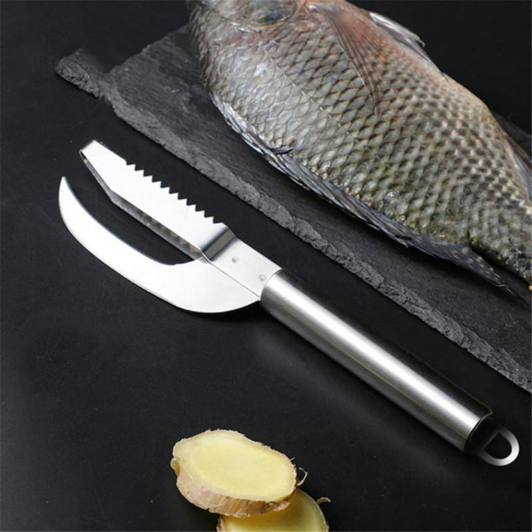 Stainless Steel 3 in 1 Fish Maw Knife, Fish Scale Knife Cut/Scrape/Dig  3-in-1,Scaler Remover with Stainless Steel Sawtooth Easily Remove Fish  Scales,for Kitchen Fish Cleaning Brush Scraper 
