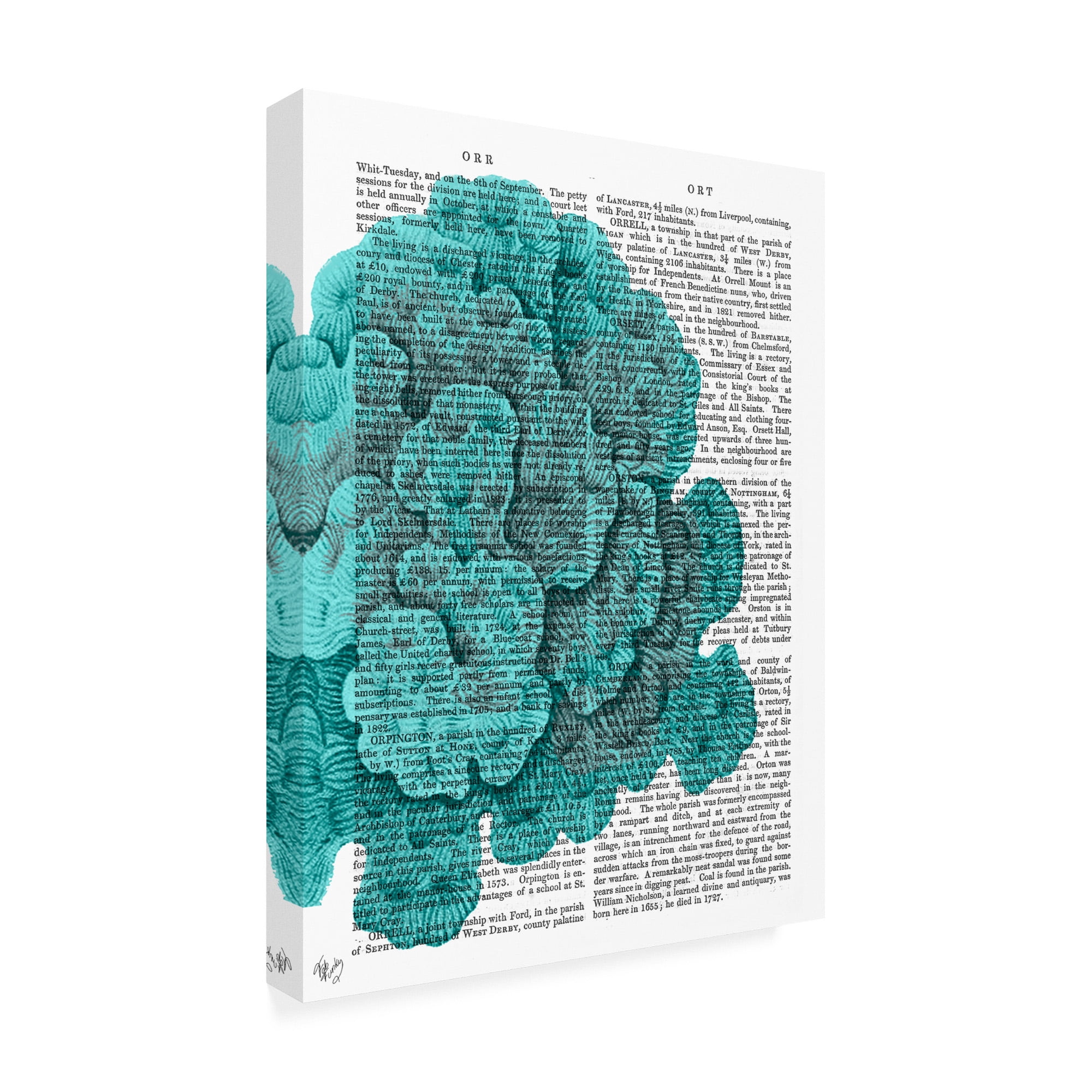 Trademark Fine Art 'Blue Corals And Sea Urchins Ii' Canvas Art by Fab Funky