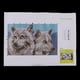 thumbnail image 2 of DIY Two Wolves Latch Hook Kit Alfombra Fabricación de Manualidades para Niños/adultos, 19.6 X 11.8 Pulgadas, 2 of 7