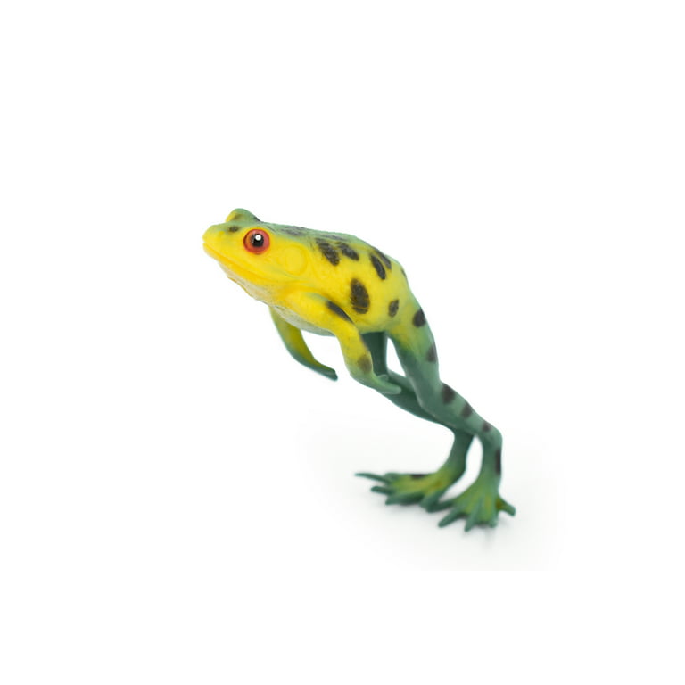 Frog, Yellow with Green Stripe Frog, Plastic Toy, Realistic, Figure, Model,  Replica, Kids, Educational, Gift, 1
