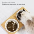 thumbnail image 4 of Bol pour Animaux, Bol d'Eau pour Chien Protection du Cou Bol Incliné pour Intérieur Bol Simple, Double Bol, 4 of 7