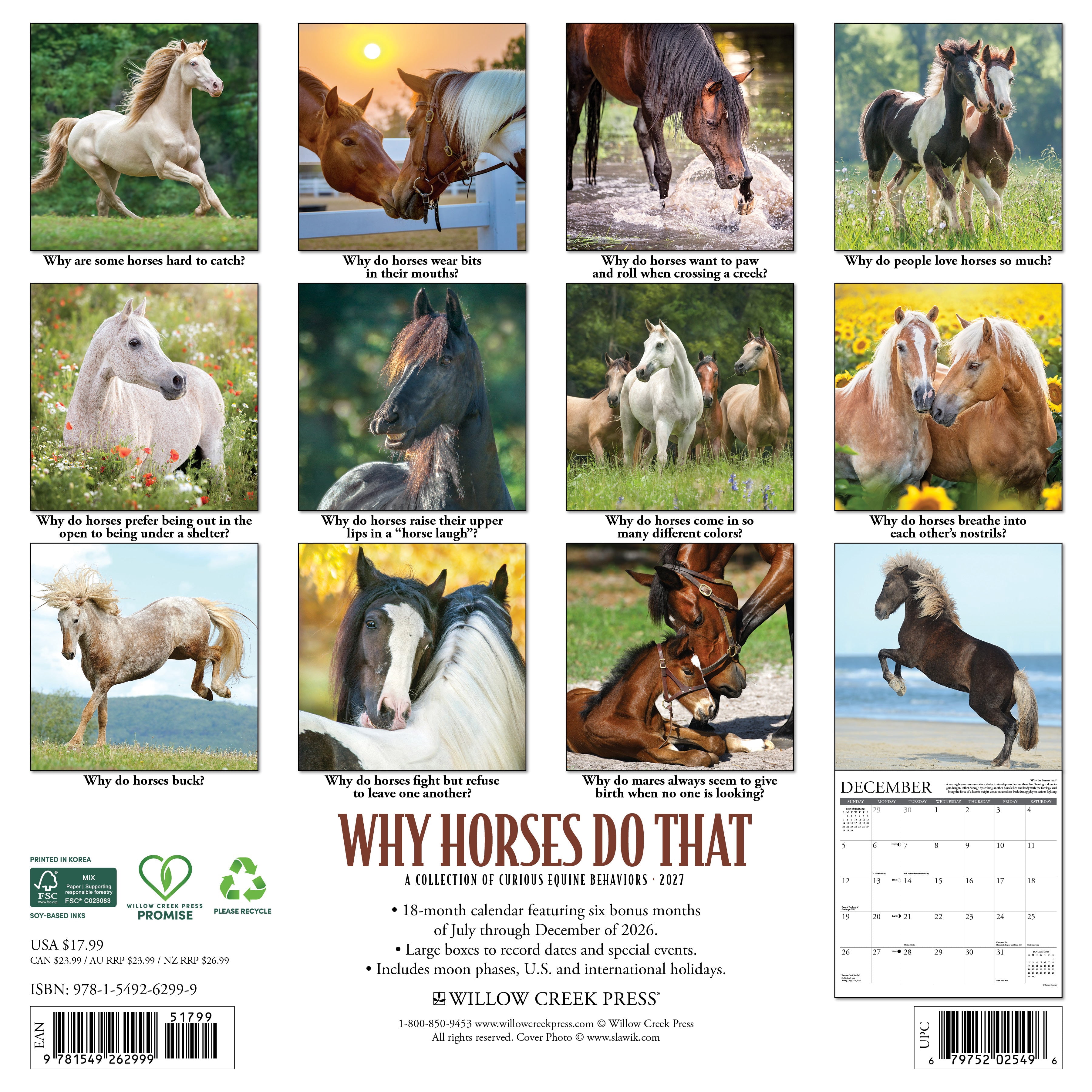 Willow Creek Press, Why Horses Do That 2027 Wall Calendar