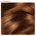 thumbnail image 2 of Adore Semi Permanent Hair Color 48 Honey Brown 4oz., Adult, 2 of 5