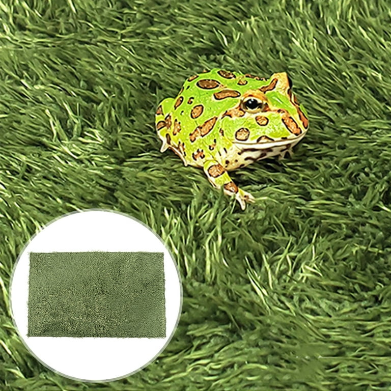 Reptile Moss Carpet Crawl Pets Fake Lawn Home Terrarium Cushion (Green), Size: 30X20X0.5CM