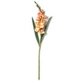 thumbnail image 2 of 12 Pack: Salmon Gladiolus Stem by Ashland, 2 of 2
