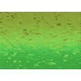 thumbnail image 1 of Ahgly Company Machine Washable Indoor Rectangle Transitional Green Area Rugs, 6' x 9', 1 of 7