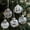#5, variant on Clear Plastic Fillable Ornament Balls, Removable Top Clear Hanging Ornaments Ball, DIY Plastic Ornaments Round Balls, Perfect for Decoration , Wedding, Party