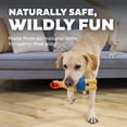 thumbnail image 5 of Outward Hound by Charming Pet Squawkers Earl Latex Squeaky Rubber Chicken Dog Toy, Funny Interactive Holiday Toy for Dogs, Large Size, 5 of 6