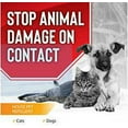 Animal Stoppers Dog and Cat Stopper Animal Repellent, Gallon Readyto