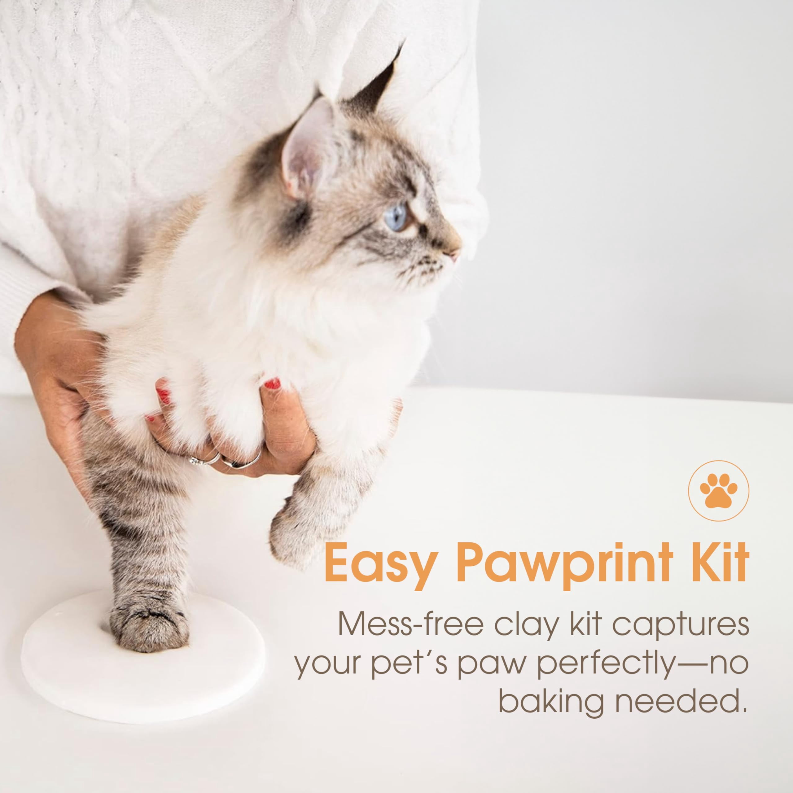 PETT Pet paw print frame with clay print kit and photo display