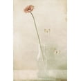 thumbnail image 2 of Devos, Delphine 17x24 White Modern Wood Framed Museum Art Print Titled - Miss Daisy, 2 of 4