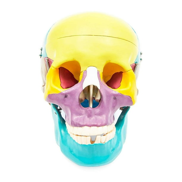 Walgreen's 2015 Halloween merchandise includes a fair