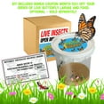thumbnail image 6 of Nature Bound: Butterfly Habitat & Terrarium - Live Insect Growing Kit, 24" Net, Critter Lifecycle, Discount Voucher For Caterpillars & Food, Kids 6+, 6 of 9