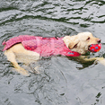 thumbnail image 5 of Coloody Dog Life Jacket Safety Swimsuit with Reflective Stripes for Doggie, 5 of 7