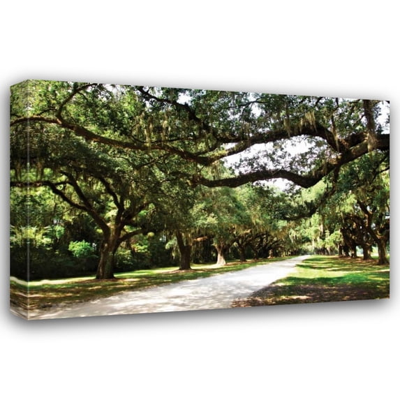 Alan Hausenflock 32x23 Gallery Wrapped Canvas Wall Art Titled - Charleston Oaks IV