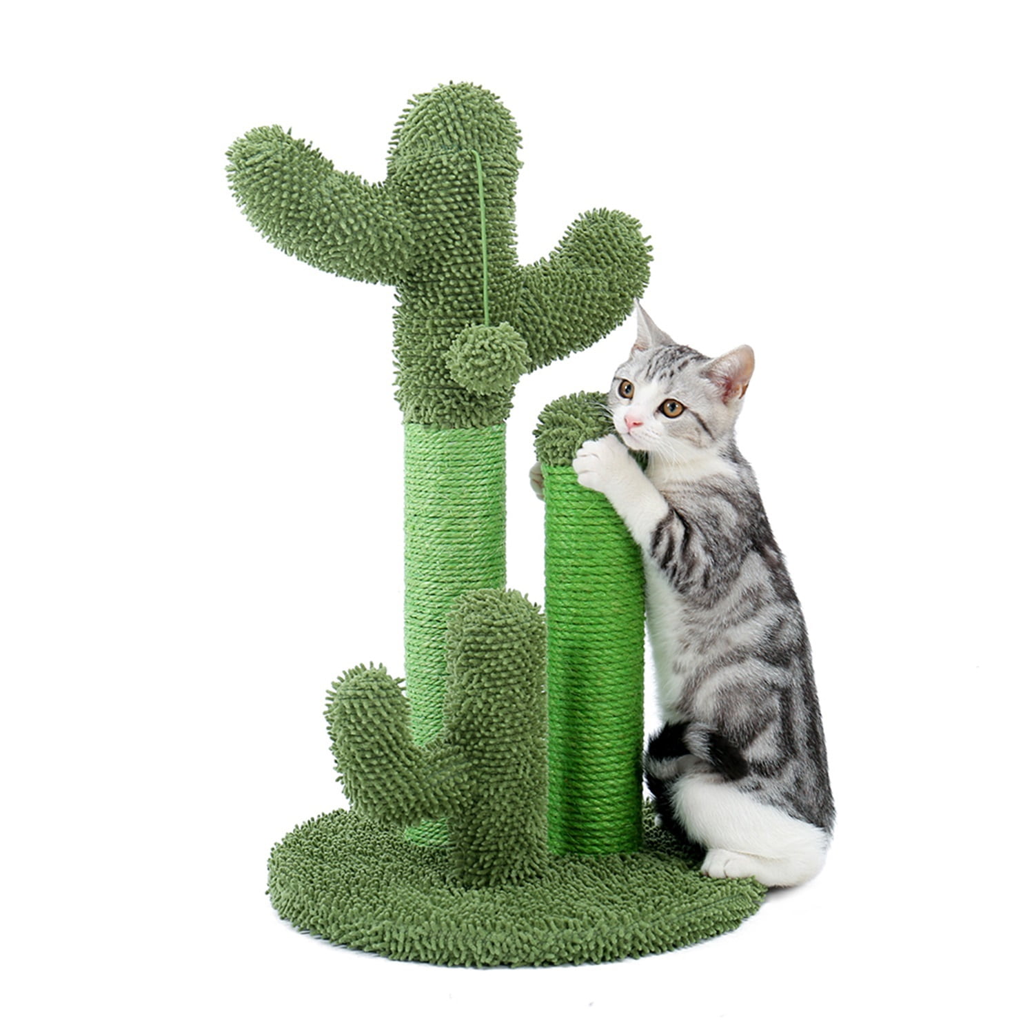 Pefilos 20" Cat Scratching Post, Cactus Cat Scratcher Post for Indoor Cats Claw Scratcher, Cat Tree Small Kitten , Green M Pefilos 20" Cat Scratching Post, Cactus Cat Scratcher Post for Indoor Cats Claw Scratcher, Cat Tree Small Kitten , Green M