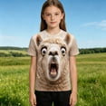 thumbnail image 6 of Boys Tshirts Lightweight Short Sleeve Stylish Print Crewneck Tee for Everyday Wear Boys' Tops Tees Shirts 3 Years-4 Years, 6 of 6