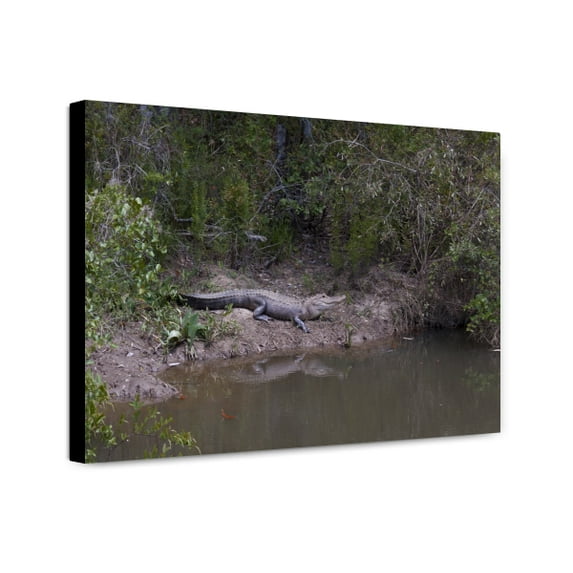 Canvas Print: Gator Alley At The D'olive Boardwalk Park In Daphne, Alabama, Is