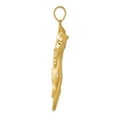 thumbnail image 2 of 14k Yellow Gold Solid Satin Diamond Cut Finish Panther Charm Pendant, 2 of 7