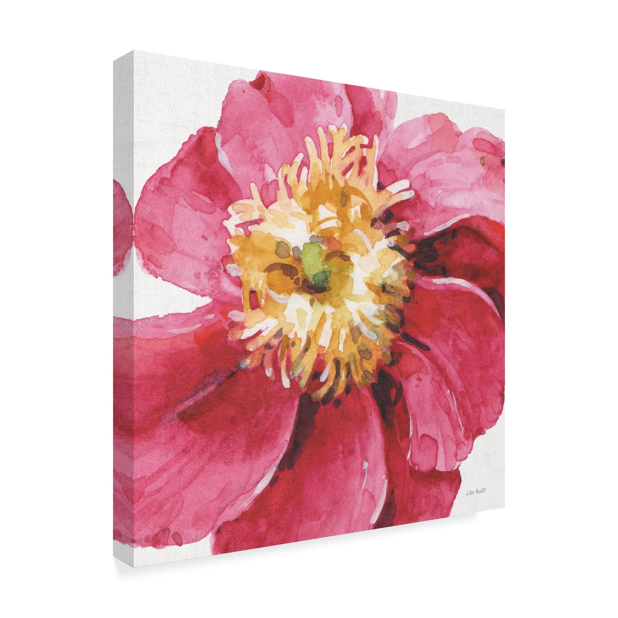 Trademark Fine Art 'Pink Garden VI' Canvas Art by Lisa Audit