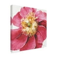 thumbnail image 2 of Trademark Fine Art 'Pink Garden VI' Canvas Art by Lisa Audit, 2 of 3
