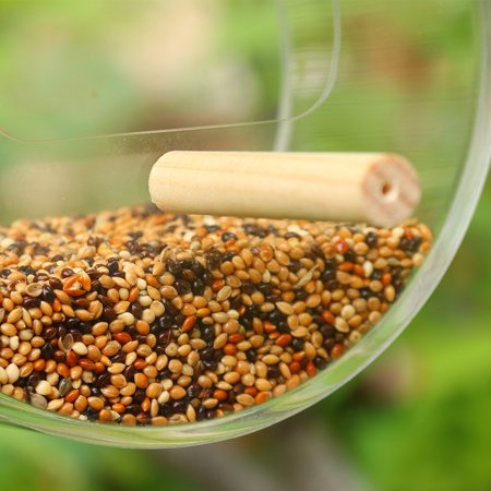 Bird Feeder Hanging Parrot Food Feeder Bird Feed Box Outdoor