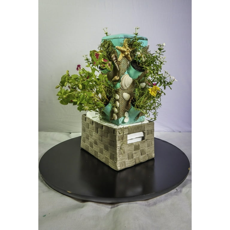 EXO Hydroponics Growing System Tier 1 Mini Tower - Advanced Indoor  Gardening Kit for Healthy Plants - Automate Aeroponics Mini Indoor Outdoor  Home Grow Herb - Walmart.com