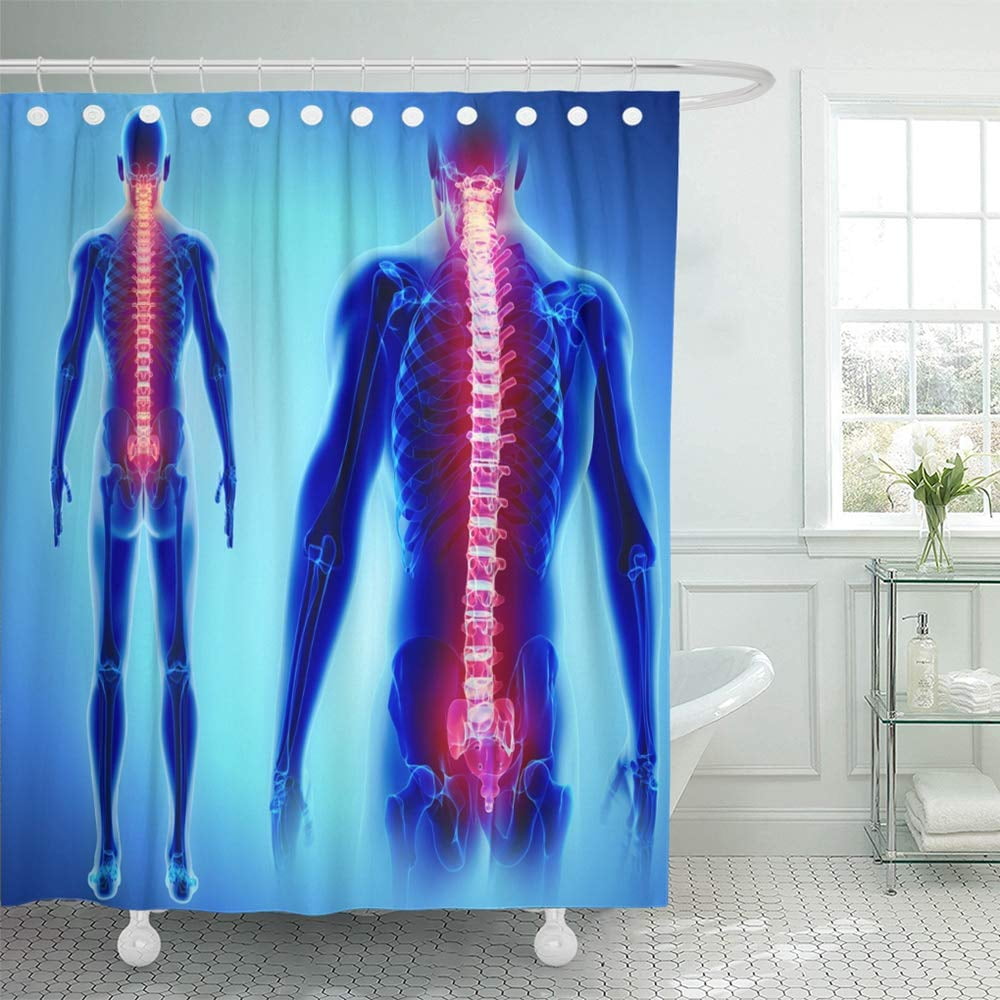 PKNMT Blue Spinal 3D of Spine Part Human Skeleton Cord Back Pain