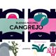 thumbnail image 1 of Buenas noches, Cangrejo, de Coppo Marianna, Juventud, Dura, 1 of 2