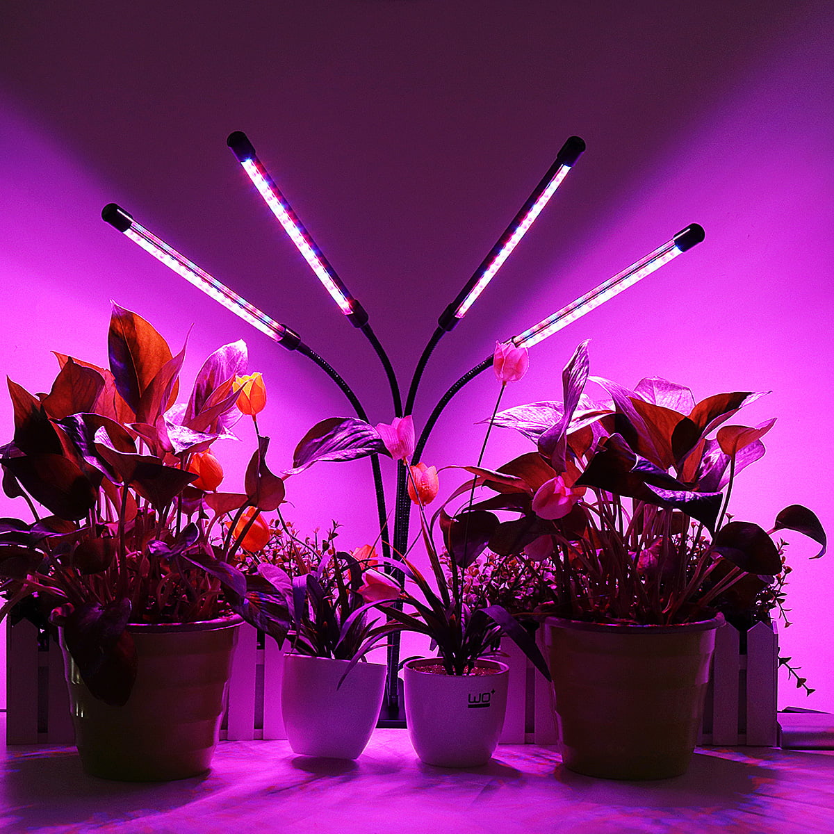 Details about   Grow Light Plant Growing LED Lamp Indoor Plants Hydroponics Timing Dimming US 