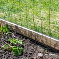 thumbnail image 6 of Fencer Wire 16 Gauge Black Vinyl Coated Rabbit Guard Fence, Poultry Fencing Wire Roll for Garden Yard Vegetable Plant, Protecting Against Rabbits, and Other Small Animals Damage (24 in. x 50 ft.), 6 of 9
