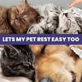 thumbnail image 5 of 240ML Natural Antiseptic Spray | Antibacterial, Antifungal & Antiviral | for Dogs, Cats and All Animals | for Itchy Skin and All Skin Care Health, 5 of 5